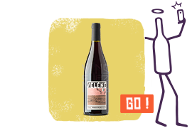 Séléné S Trichard Beaujolais Villages vin nature